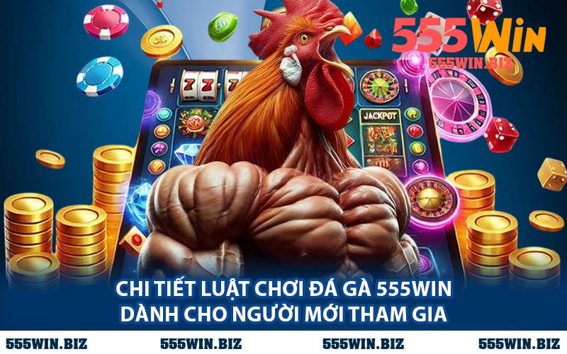Chi Tiết Luật Chơi Đá Gà 555WIN Dành Cho Người Mới Tham Gia