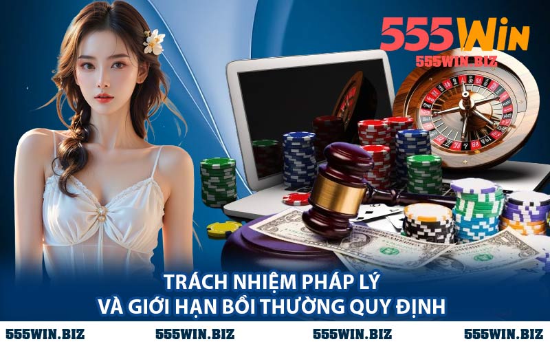 Trách Nhiệm Pháp Lý Và Giới Hạn Bồi Thường Quy Định